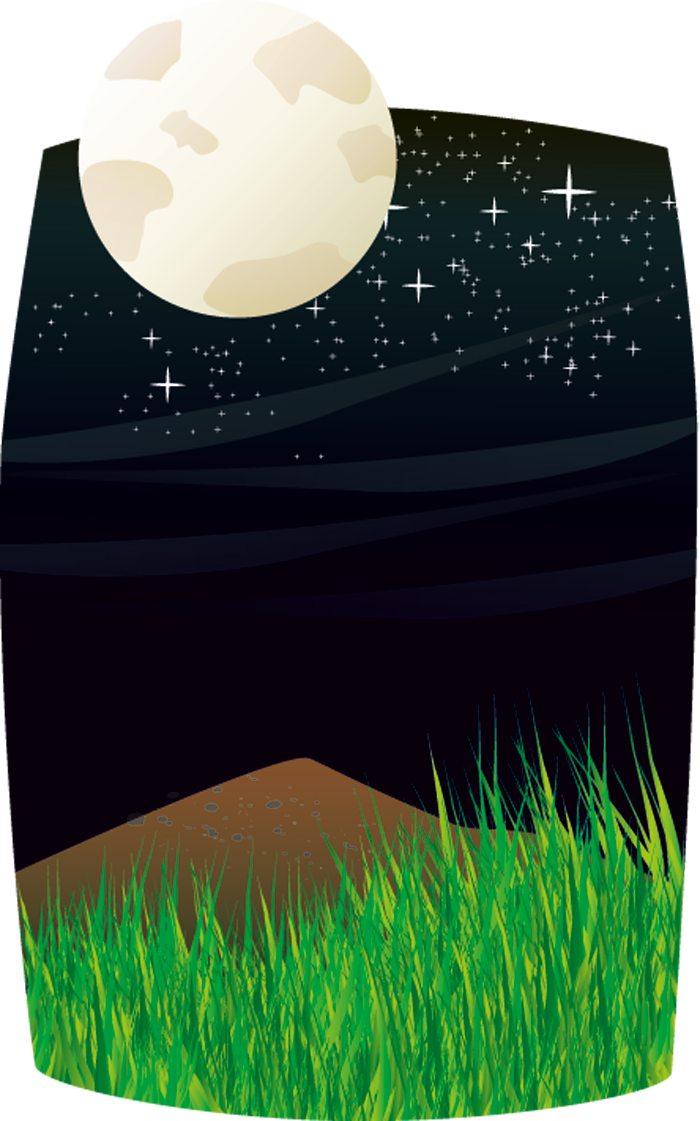 Illustration Nachtlandschaft-Im Vordergrund ist eine Wiese zu sehen, im Hintergrund ist ein Berg und ein Mond, der über das Bild hinaus geht.
